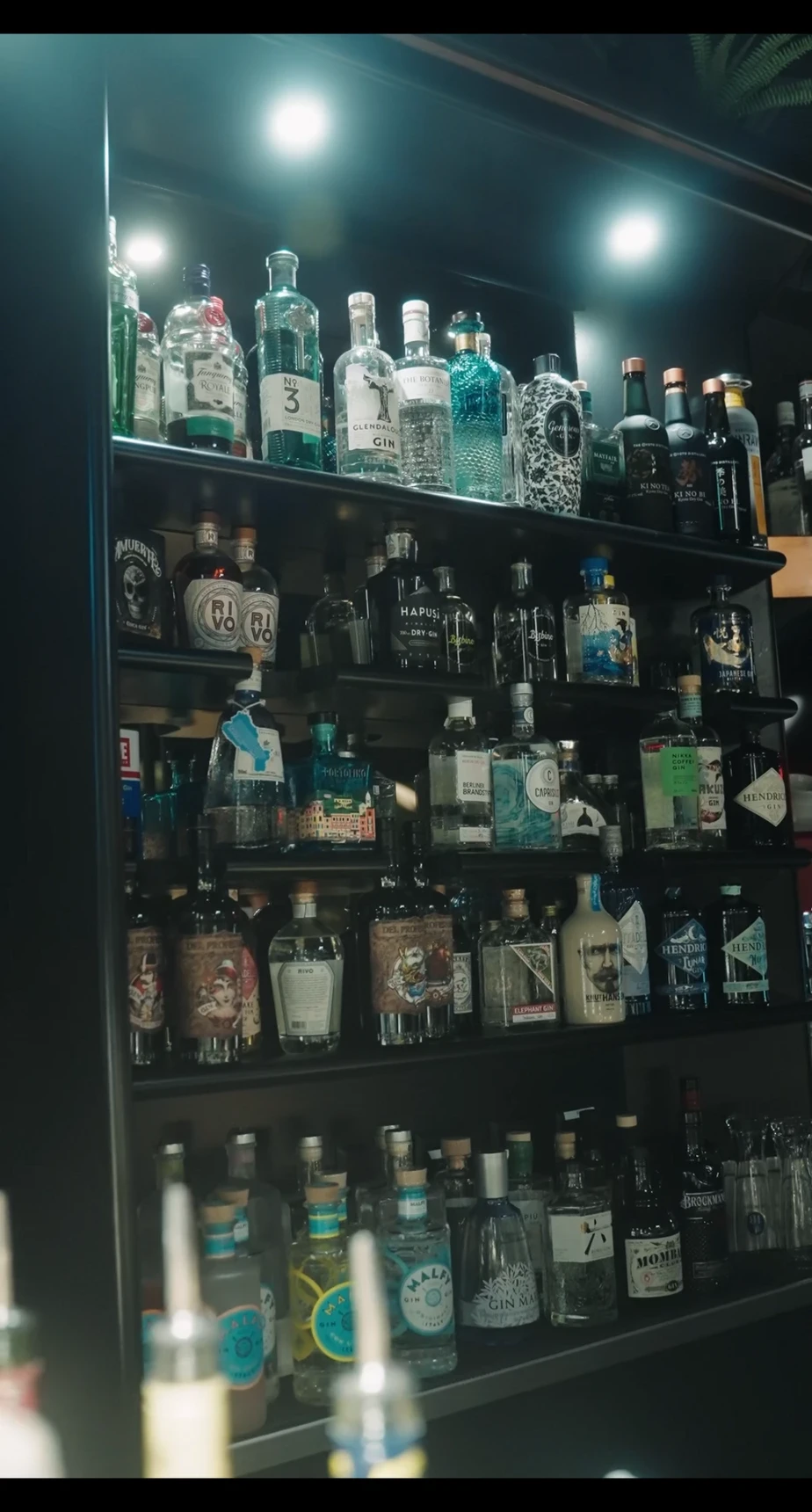 La parete dei gin